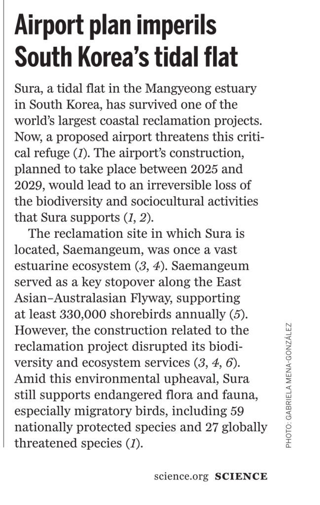 Science: Airport Plan Imperils South Korea's Globally Critical Tidal Flat