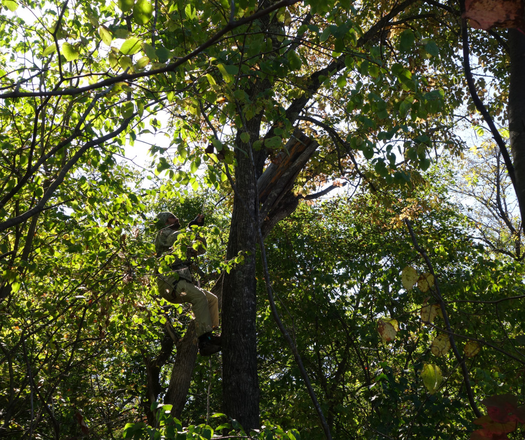 RS-nesttube_sergei_russia sep 2015 271