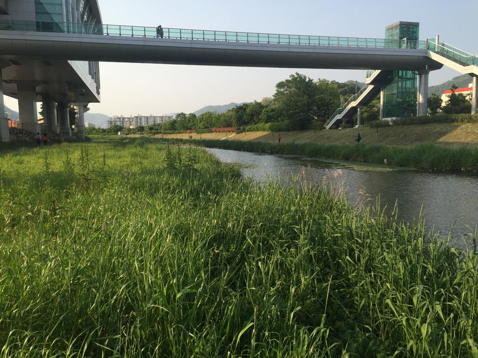 Gimhae Haebancheon 10