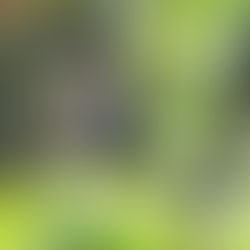 Igidae, Busan, April 14-21