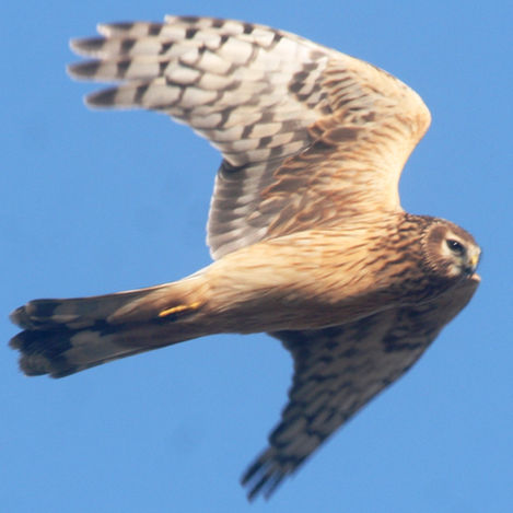 Suncheon, October 26 – November 15