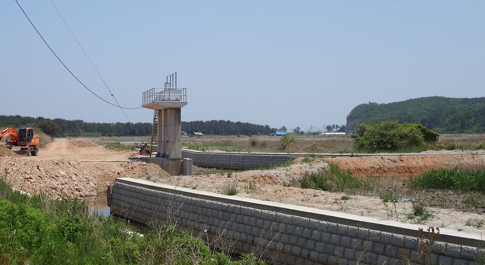 Hwadong Wetland, Baekryeong Island (Incheon) in November 2013 (top); May 2014; and again in May 2015 © Nial Moores