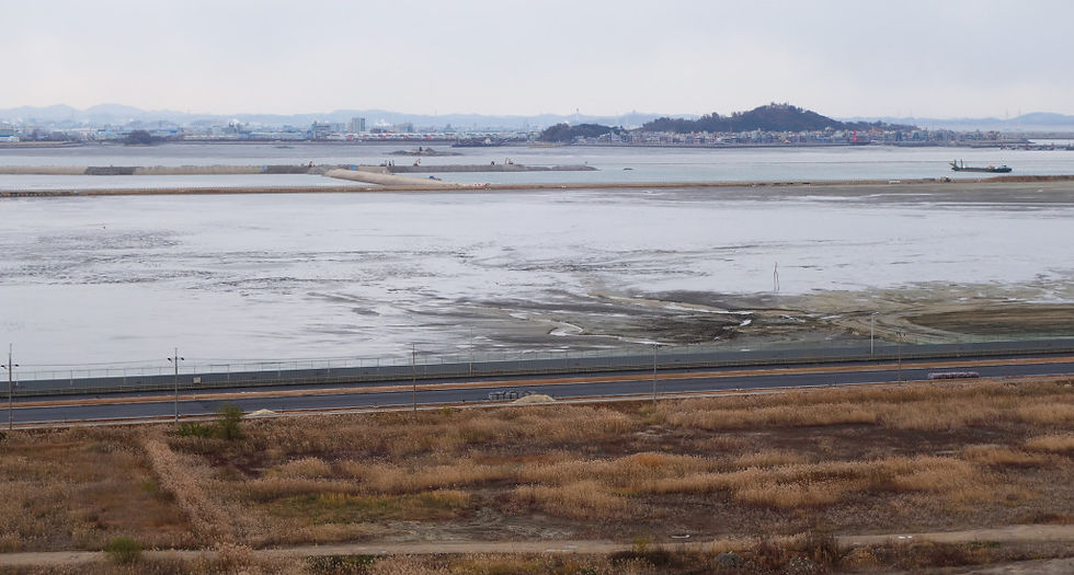 Large-scale reclamation ongoing at Song Do, November 2014 © Nial Moores. Presumably the remanant area of tidal-flat beyond the newest set of seawalls forms the “core” of the new Ramsar site