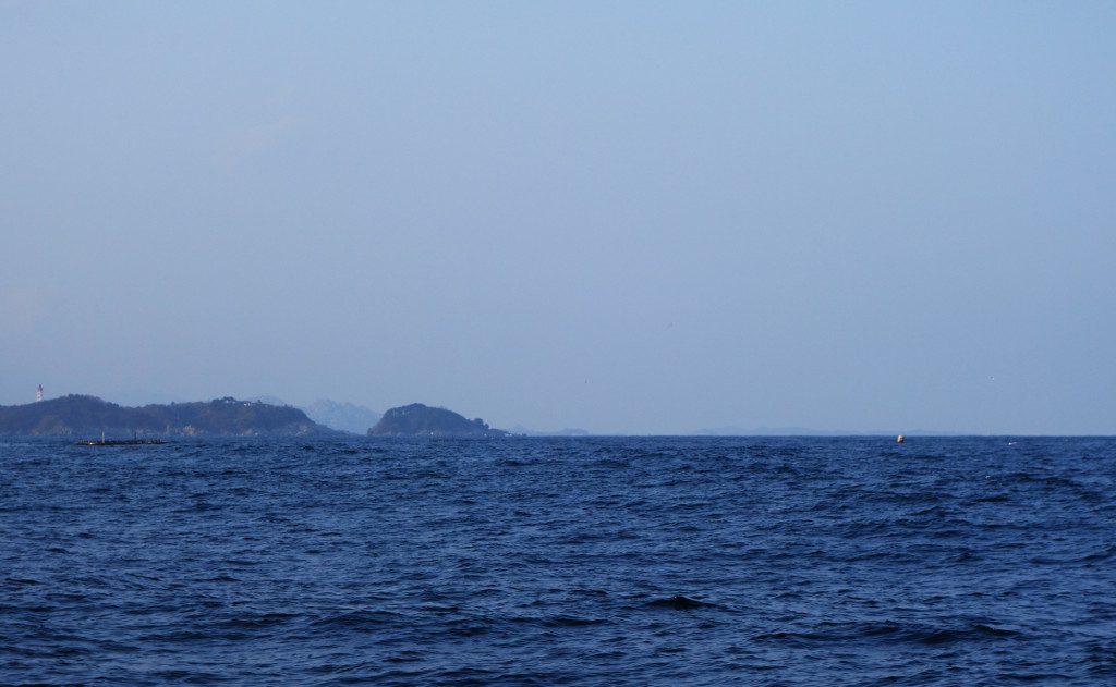 td-RS_Nov20_DSC04692