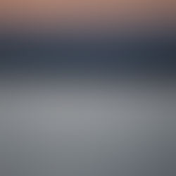 Asan Bay and Hwaseong Wetlands FNS: March 29-31