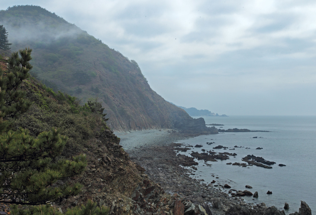 rdc socheong AP9F8196