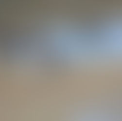 The Merganser and the Tiger: Spirits of the Wilderness