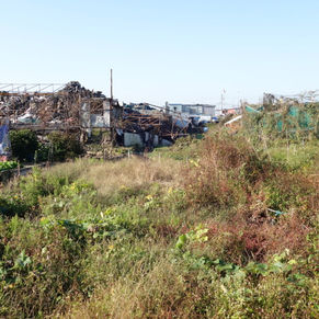 Taejongdae, October 18