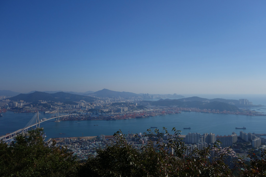 Bongnaelooking northrs1