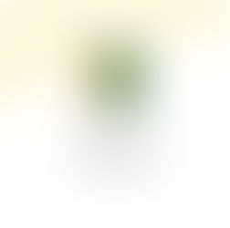 Birds Korea Website Re-Structure and Management