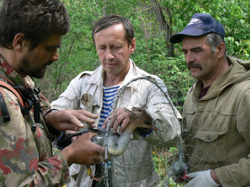 4_Solovyeva_catch_female_May08