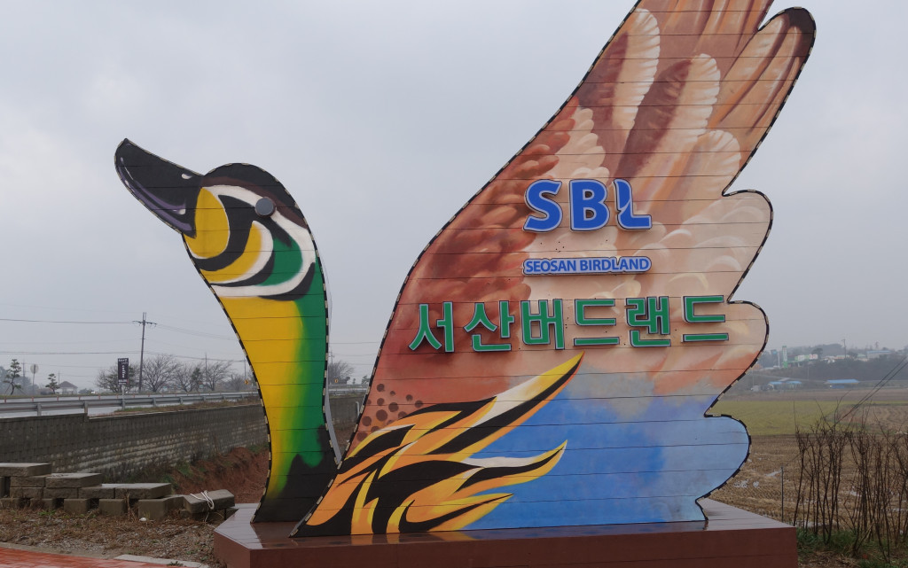 DSC07840-001