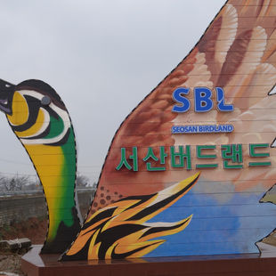 Seosan Birdland, November 29