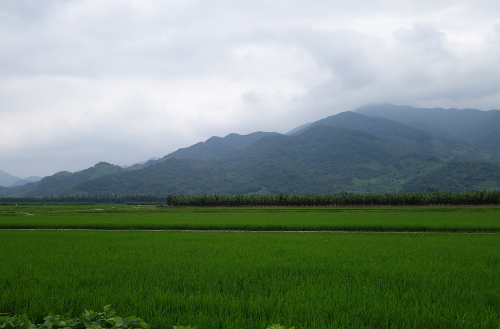 hadonghabitat_July_2015_RS1