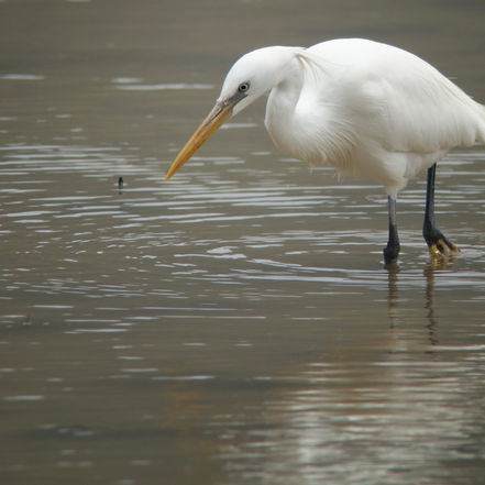 Baekryeong Island, May 12-14