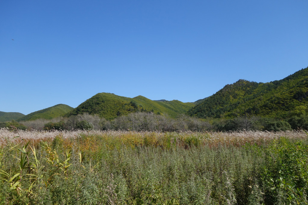 RS-grasslandhabitat_russia sep 2015 275