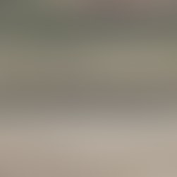 Survey in Han River Estuary, 19 April