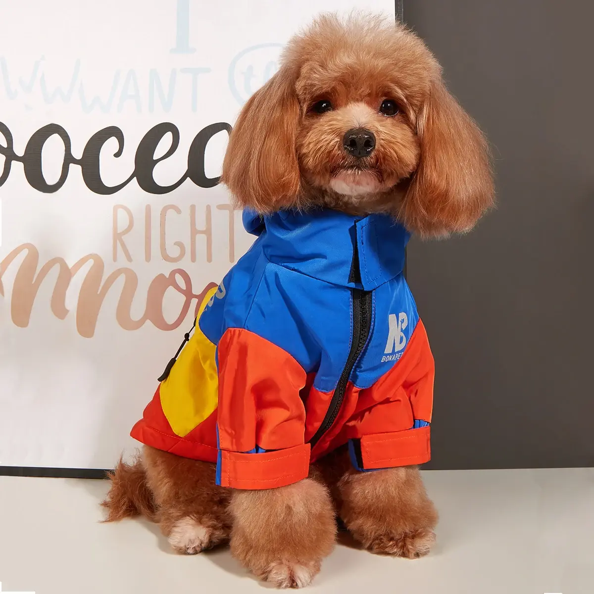 Winter Dog Jacket Thickened Fleece Warm Dog Clothes Waterproof Raincoat French