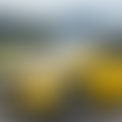 Cores vibrantes para os carros ganham força na indústria