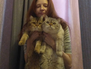 Селфи с котами с треском провалено...