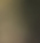 HeaderBG_edited.jpg