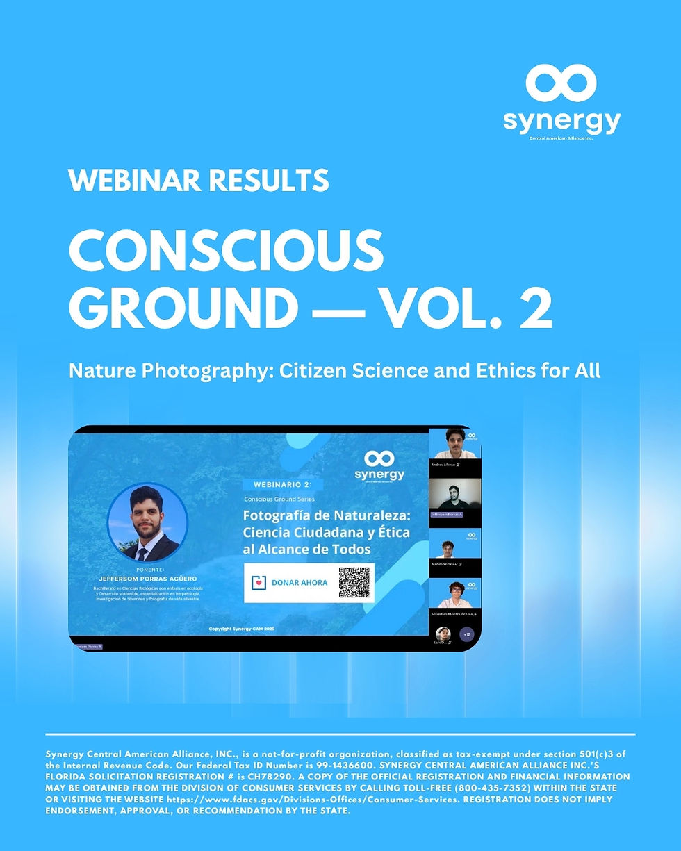 Conscious Ground — Vol. 2: What Happened.