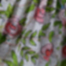MacKomics Studio Ky Kansas detail 4 w ig.jpg