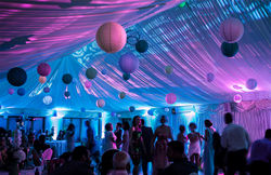 without platinum ivy