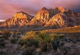 GUARDIAN ANGEL HOME CARE OF PALM DESERT
