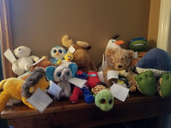 Animals from Mississippi