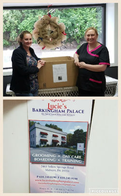 Lucie's Barkingham Palace drop off