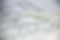 pexels-john-guccione-wwwadvergroupcom-41