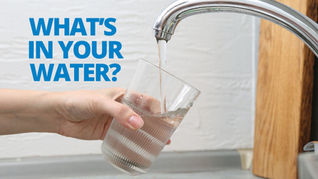 What’s Flowing Through Your Home? CW Service Water Quality Spotlight