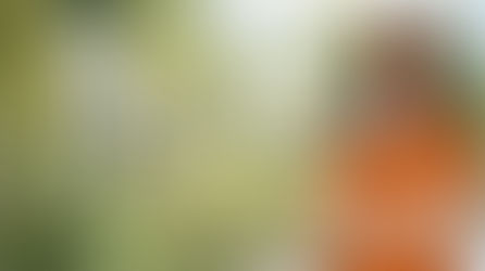 Fall Detox with IV Therapy and Ozone Therapy