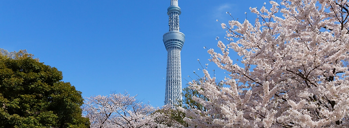 SUMIDA PARK