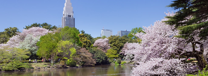 SHINJUKU GYONEN NATIONAL GARDEN