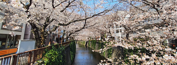 MEGURO