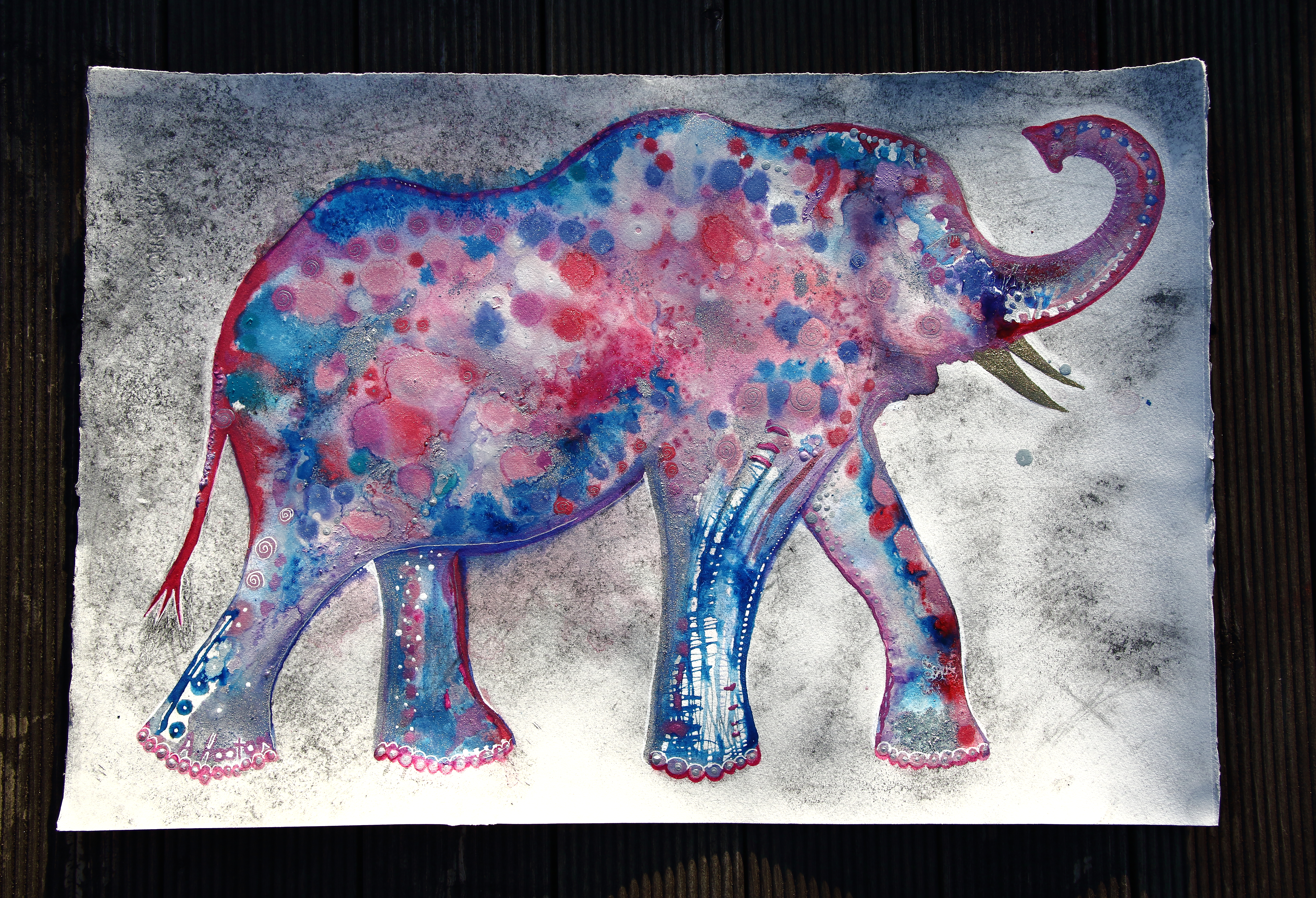 Elephant Amy Hooton