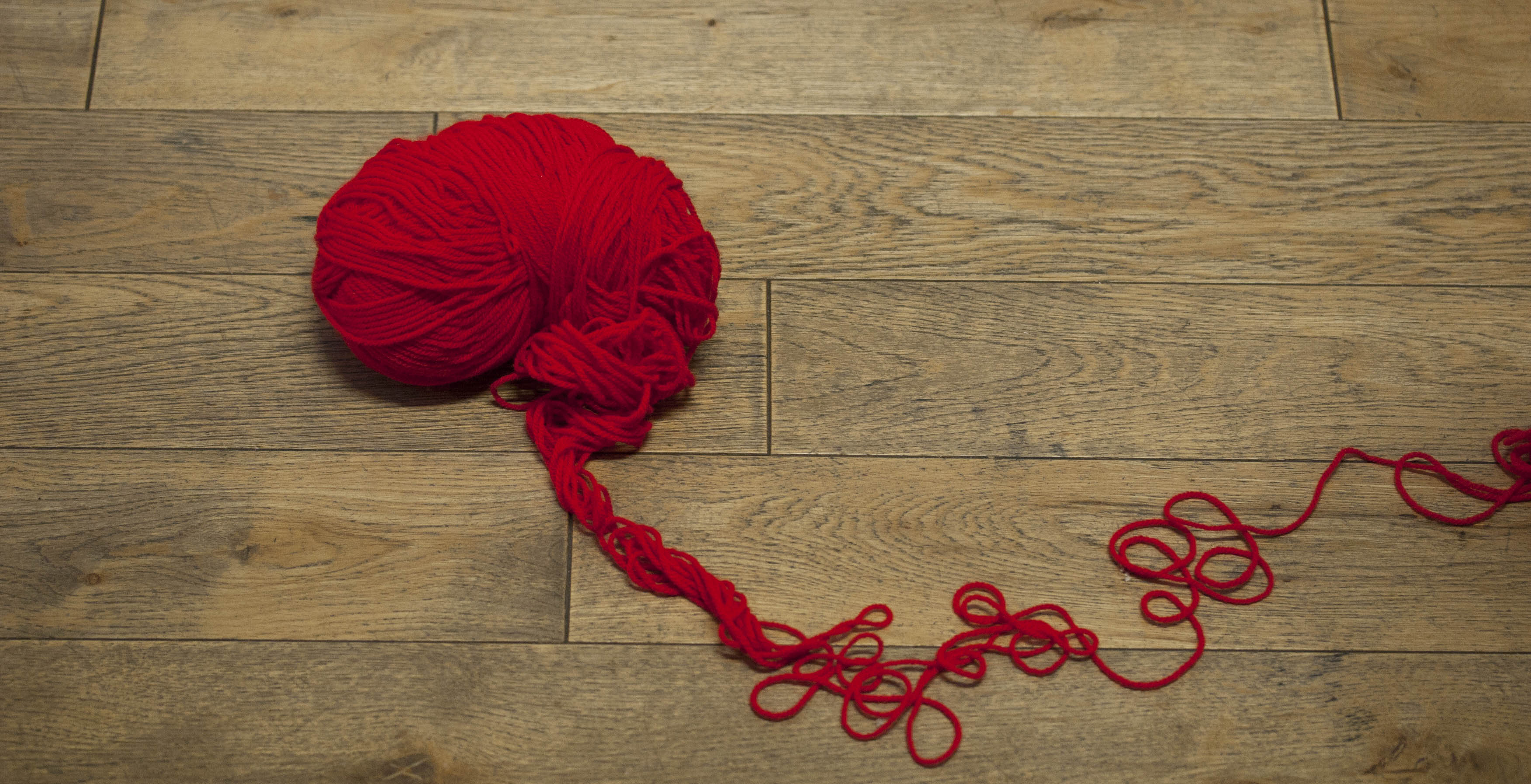 IJS Wool Brain 2013