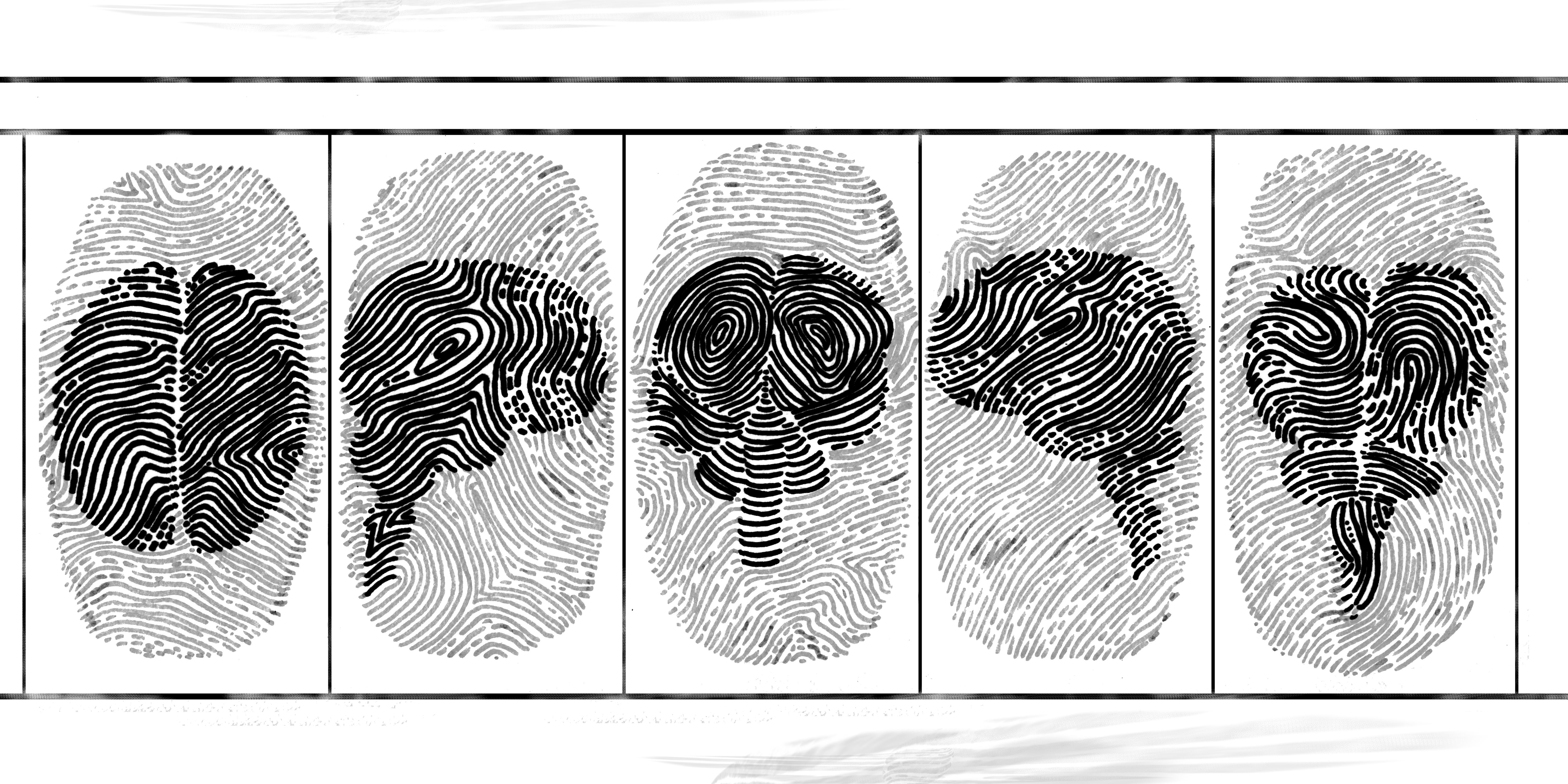 Fingerprint Strip - IJS 2014