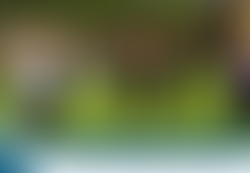 May 8-15 Weekly News