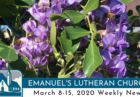 March 8-15, 2020 Weekly News