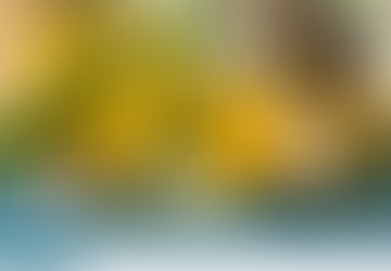 August 29 - September 5, 2021 Weekly News