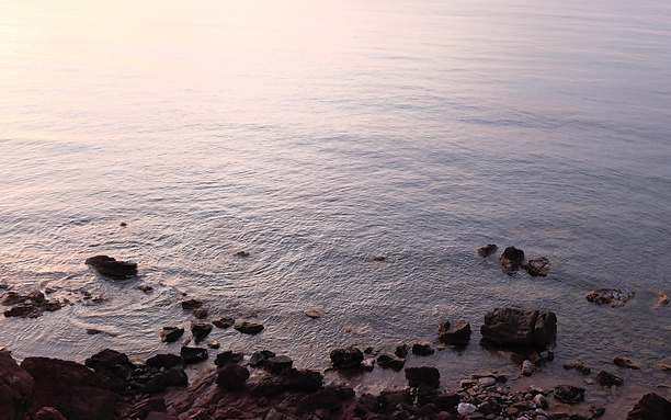 Screenshot 2022-11-29 at 12.16.18.png