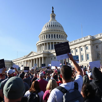 grassroots crowd at the capitol.jpg