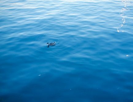 _DSC4261.jpg