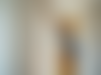 Transform Your Space with Professional Drywall Installation