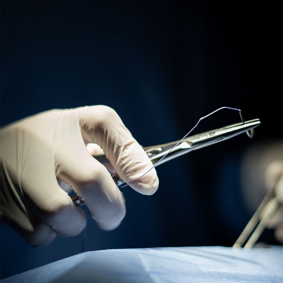 Bir veteriner hekimin, ameliyat masasında yatan bir kedi veya köpek üzerinde cerrahi müdahale gerçekleştirdiği an. Hayvanın sağlığı için titizlikle yapılan operasyon süreci.