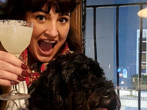11 Luxury Dog-Friendly Hotels in Wales