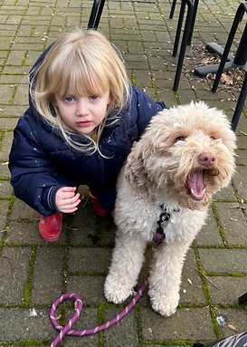 Labradoodle and children